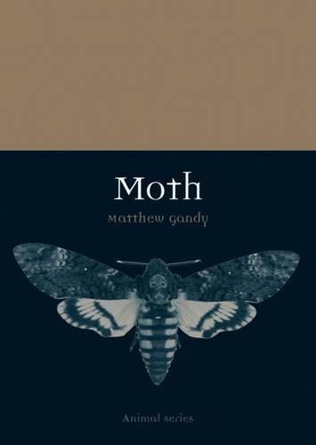 Бумажная книга «Moth», автор Мэтью Гэнди - фото №1