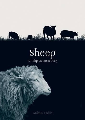 Бумажная книга «Sheep», автор Филип Армстронг - фото №1