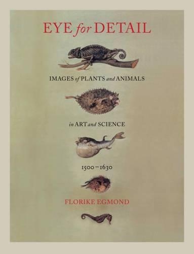 Бумажная книга «Eye for Detail: Images of Plants and Animals in Art and Science, 1500-1630», автор Флорика Эгмонд - фото №1
