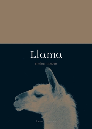 Бумажная книга «Llama», автор Хелен Кови - фото №1