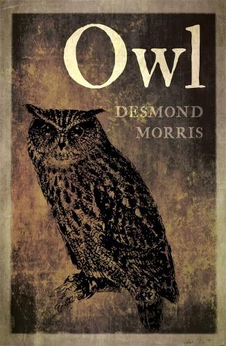 Паперова книга «Owl», автор Десмонд Морiс - фото №1