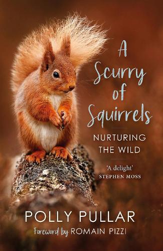 Паперова книга «A Scurry of Squirrels: Nurturing The Wild», автор Поллі Пуллар - фото №1