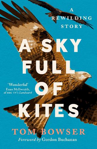 Бумажная книга «A Sky Full of Kites: A Rewilding Story» - фото №1