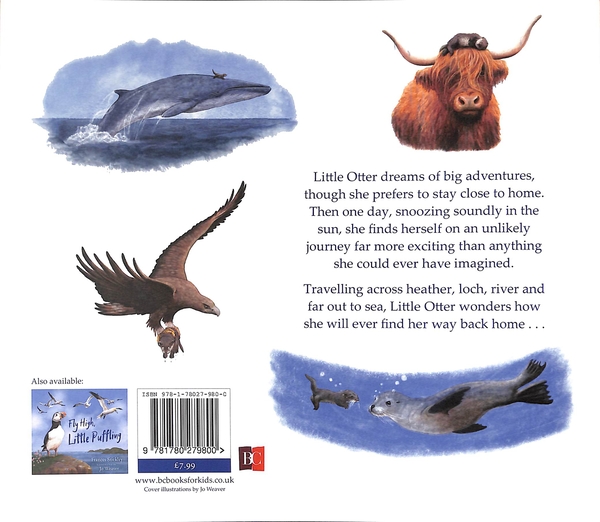 Паперова книга «Look Out, Little Otter», автор Джо Вівер - фото №1
