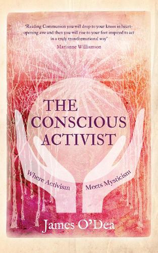 Паперова книга «The Conscious Activist: Where Activism Meets Mysticism», автор Джеймс О'Ді - фото №1