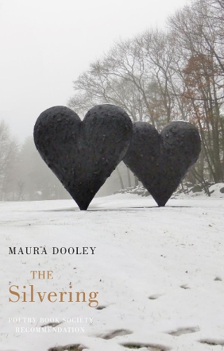 Паперова книга «The Silvering», автор Мора Дулі - фото №1