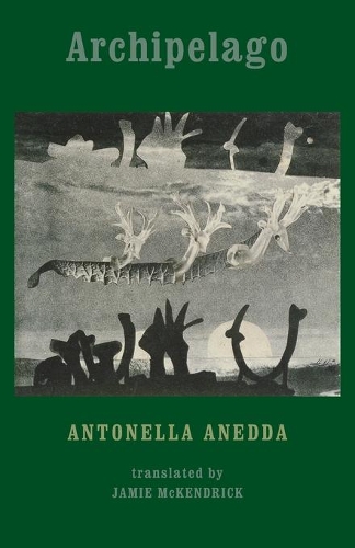 Бумажная книга «Archipelago», автор Антонелла Анедда - фото №1