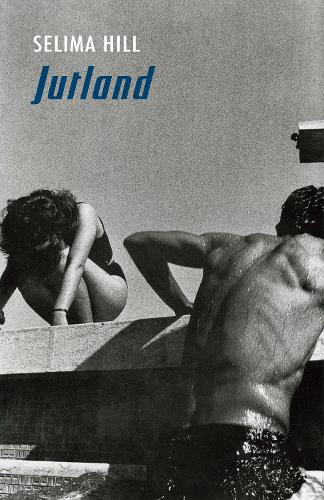 Паперова книга «Jutland», автор Селіма Хілл - фото №1