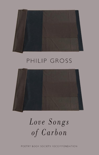 Бумажная книга «Love Songs of Carbon», автор Филип Гросс - фото №1