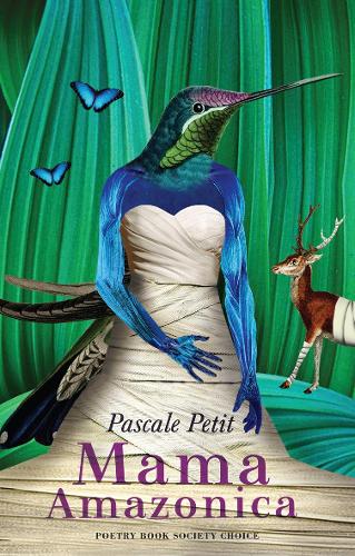 Бумажная книга «Mama Amazonica», автор Паскаль Пети - фото №1