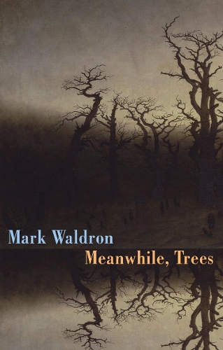 Паперова книга «Meanwhile, Trees», автор Марк Волдрон - фото №1