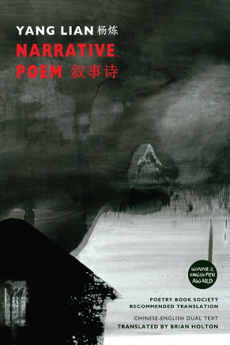 Бумажная книга «Narrative Poem», автор Ян Лянь - фото №1