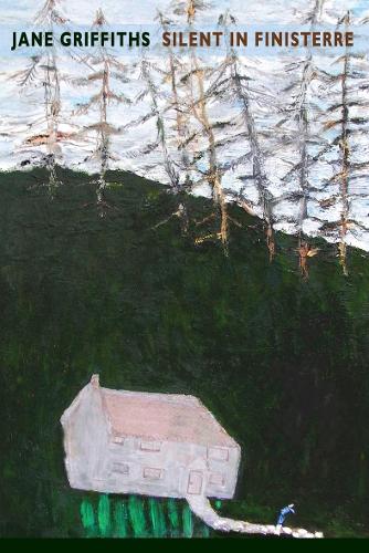 Бумажная книга «Silent in Finisterre», автор Джейн Гриффитс - фото №1