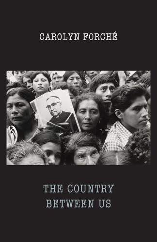 Паперова книга «The Country Between Us», автор Каролін Форше - фото №1