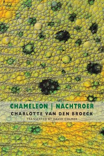 Бумажная книга «Chameleon | Nachtroer», автор Шарлотта Ван ден Брук - фото №1