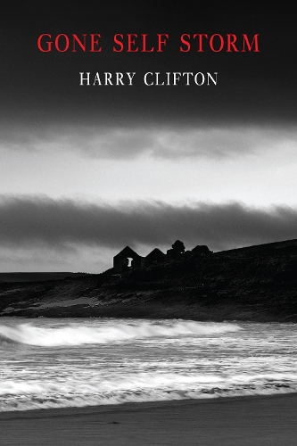 Паперова книга «Gone Self Storm», автор Гаррі Кліфтон - фото №1