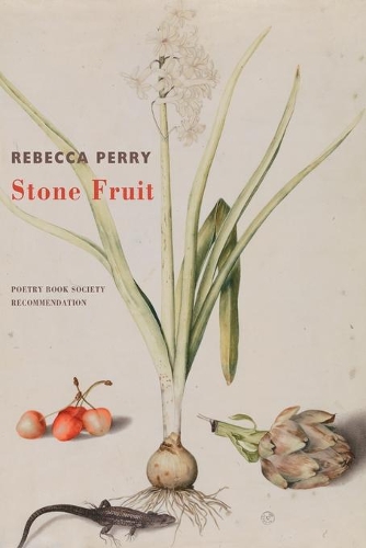 Бумажная книга «Stone Fruit», автор Ребекка Перри - фото №1