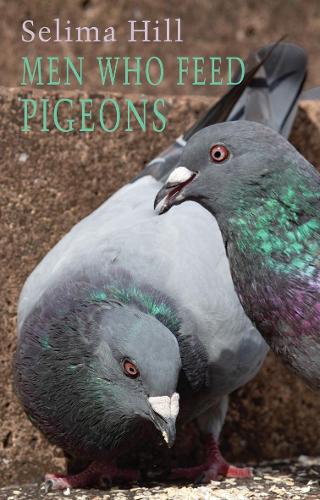 Паперова книга «Men Who Feed Pigeons», автор Селіма Хілл - фото №1