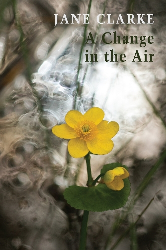 Бумажная книга «A Change in the Air», автор Джейн Кларк - фото №1