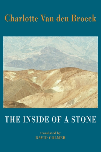 Бумажная книга «The Inside of a Stone», автор Шарлотта Ван ден Брук - фото №1