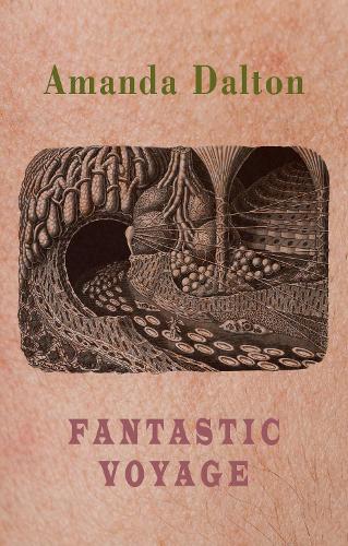 Бумажная книга «Fantastic Voyage», автор Аманда Далтон - фото №1