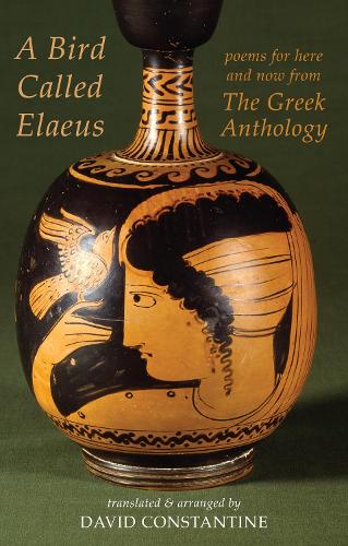 Бумажная книга «A Bird Called Elaeus: poems for here and now from The Greek Anthology», автор Дэвид Дж. Константин - фото №1
