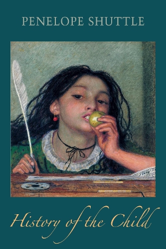 Бумажная книга «History of the Child», автор Пенелопа Шаттл - фото №1