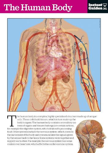 Бумажная книга «The Human Body: The Instant Guide», автор Instant Guides - фото №1