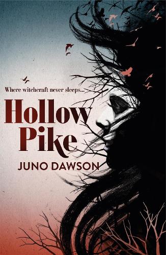Бумажная книга «Hollow Pike», автор Джуно Доусон - фото №1