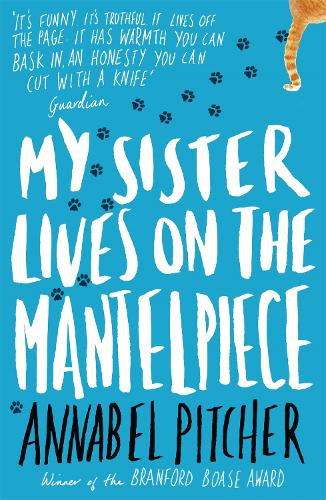 Бумажная книга «My Sister Lives on the Mantelpiece», автор Аннабель Питчер - фото №1