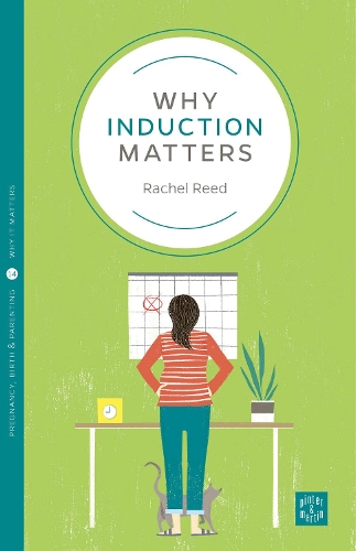 Бумажная книга «Why Induction Matters», автор Рэйчел Рид - фото №1