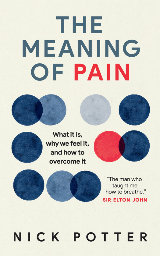 Паперова книга «The Meaning of Pain», автор Нік Поттер - фото №1
