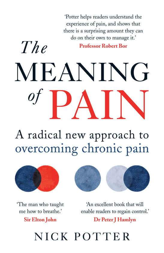 Бумажная книга «The Meaning of Pain», автор Ник Поттер - фото №1