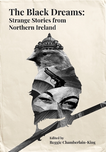 Бумажная книга «The Black Dreams: Strange Stories from Northern Ireland», авторов Айслинн Кларк, Берни Макгилл, Карло Жеблер, Эмма Девлин, Жерар Маккеон, Иен Макдональд, Иэн Сэнсом, Джон Патрик Хиггинс, Мишель Галлен, Мойра Дональдсон, Реджи Чемберлен-Кинг, Сэм Томпсон - фото №1