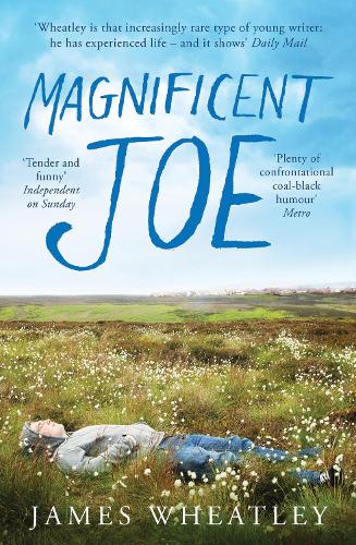Бумажная книга «Magnificent Joe», автор Джеймс Уитли - фото №1
