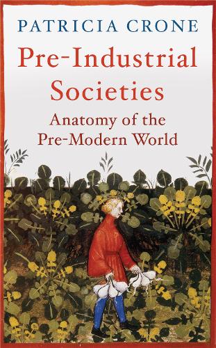 Бумажная книга «Pre-Industrial Societies: Anatomy of the Pre-Modern World», автор Патриция Кроун - фото №1