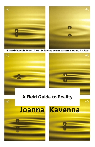 Паперова книга «A Field Guide to Reality», автор Джоанна Кавенна - фото №1