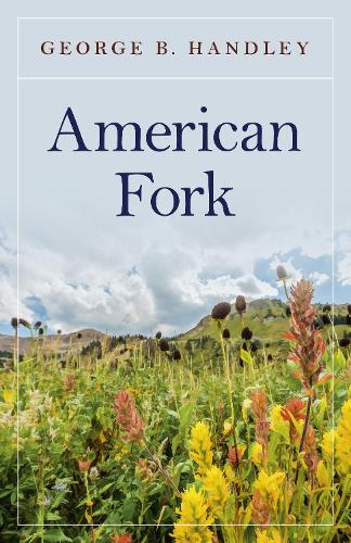 Бумажная книга «American Fork», автор Джордж Б. Хэндли - фото №1