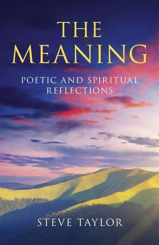 Паперова книга «Meaning, The – Poetic and spiritual reflections», автор Стів Тейлор - фото №1