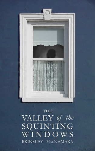 Бумажная книга «The Valley of the Squinting Windows», автор Бринсли Макнамара - фото №1