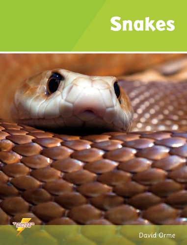 [object Object] «Snakes: Set 1», автор Девід Орм - фото №1