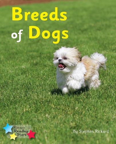 Бумажная книга «Breeds of Dogs: Phonics Phase 4», автор Стивен Рикард - фото №1