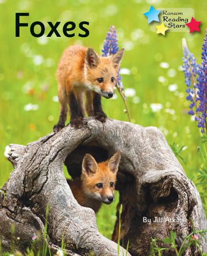 Бумажная книга «Foxes: Phonics Phase 5», автор Джилл Аткинс - фото №1