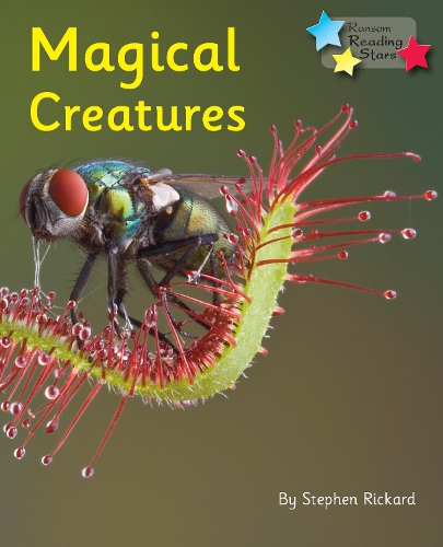 Бумажная книга «Magical Creatures: Phonics Phase 5», автор Стивен Рикард - фото №1