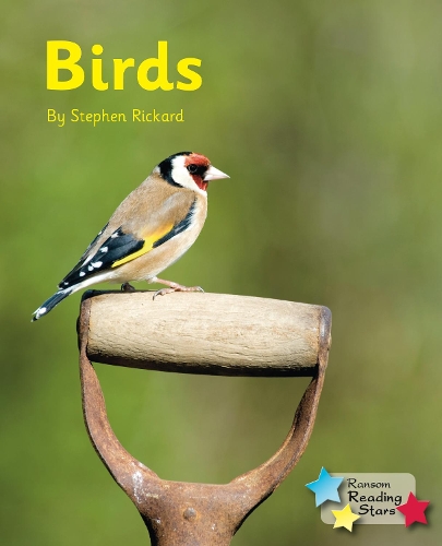 Бумажная книга «Birds», автор Стивен Рикард - фото №1
