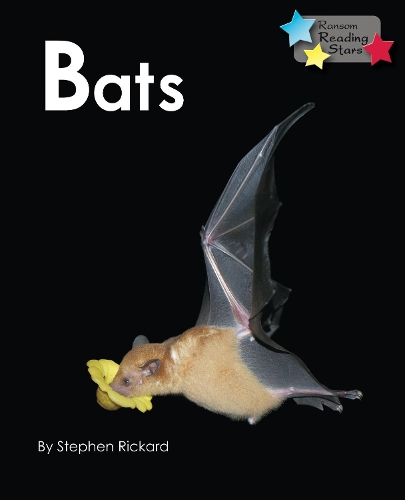 [object Object] «Bats», автор Стівен Рікард - фото №1