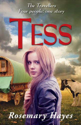 Бумажная книга «Tess», автор Розмари Хейс - фото №1