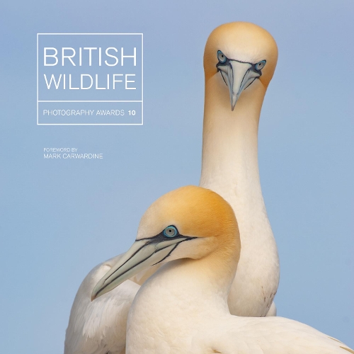 Бумажная книга «British Wildlife Photography Awards 10», автор Мэгги Гоуэн - фото №1