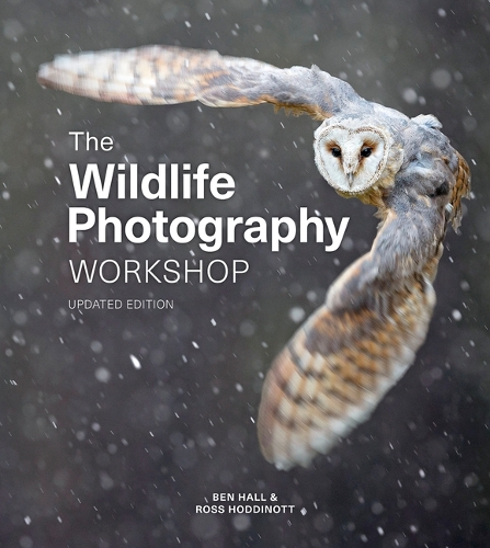 Паперова книга «Wildlife Photography Workshop, The», авторів Бен Холл, Росс Ходдінот - фото №1