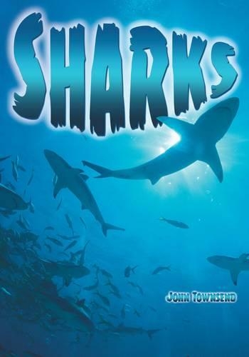 Бумажная книга «Sharks», автор Джон Таунсенд - фото №1
